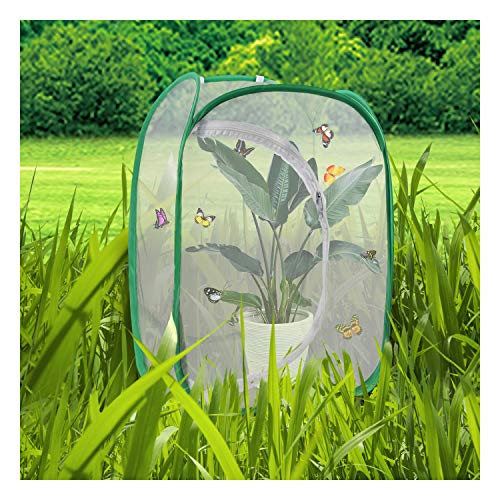 Scotamalone Collapsible Butterfly Habitat Garden Cage Butterfly Cage Butterfly House Insect Net Terrarium Net Pop-up - JOY2ESpree