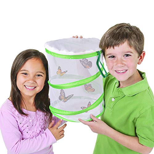 FUN LITTLE TOYS Butterfly Cage Set Butterfly Habitat Butterfly Garden Kit Butterfly Garden Butterfly Farm Without Butterfly - JOY2ESpree