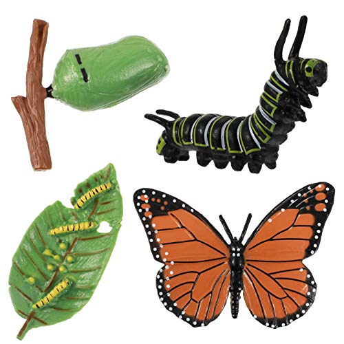 DOITOOL 4pcs Insect Figurines Life Cycle of Butterfly Plastic Caterpillars - JOY2ESpree