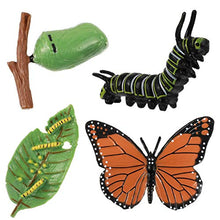 
                        
                          Cargar imagen en el visor de la galería, DOITOOL 4pcs Insect Figurines Life Cycle of Butterfly Plastic Caterpillars - JOY2ESpree
                        
                      
