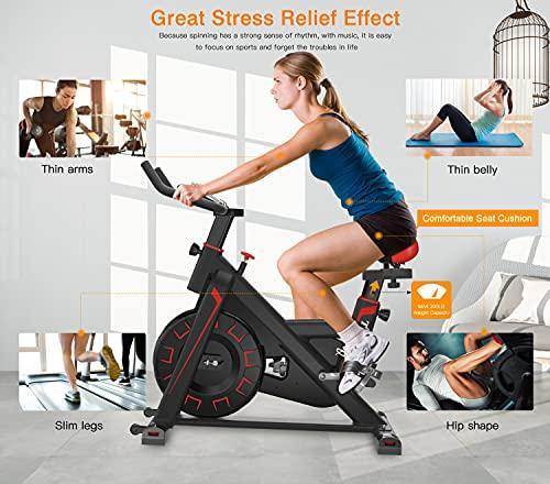 Exercise Bike Stationary Indoor Cycling Bike-HAUSBELL Sturdy Super Quiet Spin Bike . - JOY2ESpree