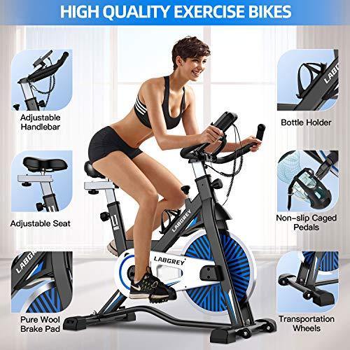 LABGREY Exercise Bike Indoor Cycling Bike Stationary Cycle Bike - JOY2ESpree