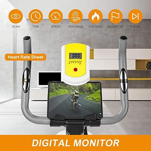 HONRISE Indoor Exercise Bike, Shock-absorbing Cycling Bike, with LCD Display, Speed Adjustment, Seat Cushion, Ipad Mount - JOY2ESpree