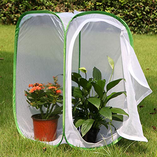 RESTCLOUD Insect and Butterfly Habitat Cage Terrarium Pop-up 23.6 Inches Tall - JOY2ESpree