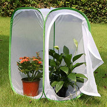 
                        
                          गैलरी व्यूवर में इमेज लोड करें, RESTCLOUD 24" Insect and Butterfly Habitat Monarch Butterfly Enclosure for Caterpillars Pop Up 24 Inches Tall Pack of 2 - JOY2ESpree
                        
                      