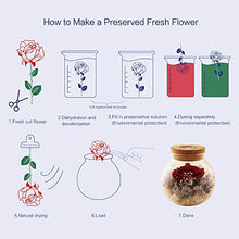 
                        
                          將圖片載入圖庫檢視器 Forever Red Rose, Preserved Eternal Real Flower Present Gorgeous Led Mood Light
                        
                      