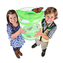 
                        
                          將圖片載入圖庫檢視器 Nature Bound Butterfly Growing Habitat Kit - JOY2ESpree
                        
                      