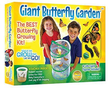 
                        
                          將圖片載入圖庫檢視器 Insect Lore Giant Butterfly Garden with Voucher - JOY2ESpree
                        
                      
