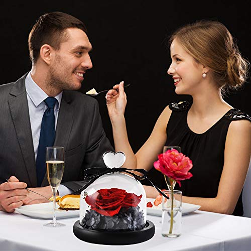 Eternal Rose- Preserved Flower Rose Handmade Fresh Flower Rose
