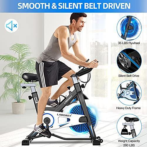 LABGREY Exercise Bike Indoor Cycling Bike Stationary Cycle Bike - JOY2ESpree