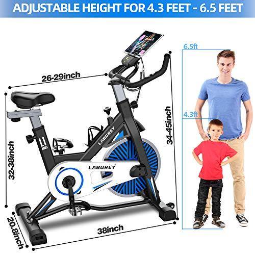 LABGREY Exercise Bike Indoor Cycling Bike Stationary Cycle Bike - JOY2ESpree
