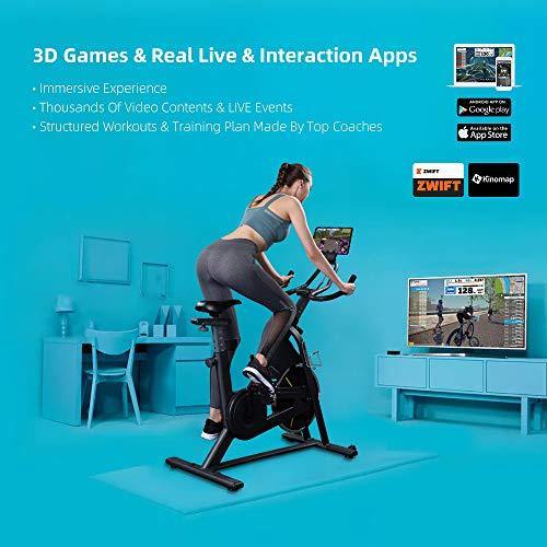 RHYTHM FUN Exercise Bike Indoor Cycling Bike Stationary Bikes Super Quiet Resistance Exercise Bike - JOY2ESpree