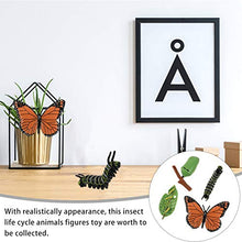
                        
                          Cargar imagen en el visor de la galería, DOITOOL 4pcs Insect Figurines Life Cycle of Butterfly Plastic Caterpillars - JOY2ESpree
                        
                      