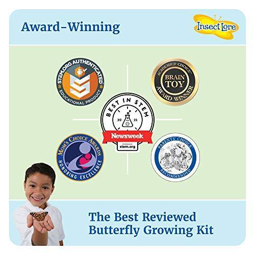 Insect Lore - BH Butterfly Growing Kit - With Voucher to Redeem Caterpillars Later - JOY2ESpree