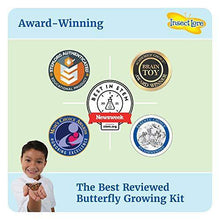 
                        
                          將圖片載入圖庫檢視器 Insect Lore - BH Butterfly Growing Kit - With Voucher to Redeem Caterpillars Later - JOY2ESpree
                        
                      