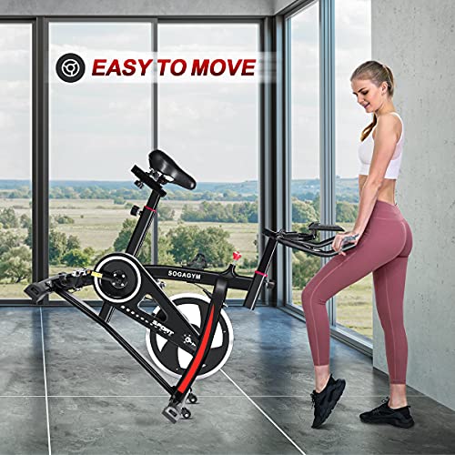 Indoor Cycling Bike Exercise Bike Stationary Bikes with Comfortable Seat Cushion & LCD Monitor for Home Office Fitness Cardio Workout - JOY2ESpree