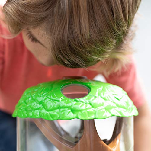 Educational Insights GeoSafari Jr. Ladybug Garden: Kids Outdoor Toys, Watch From Larva to Ladybug - JOY2ESpree