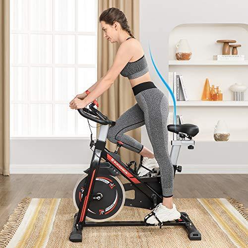SONGMICS Stationary Bike, Indoor Cycling Bike, Exercise Bike, and Fitness Trainer - JOY2ESpree