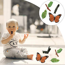 
                        
                          Cargar imagen en el visor de la galería, DOITOOL 4pcs Insect Figurines Life Cycle of Butterfly Plastic Caterpillars - JOY2ESpree
                        
                      