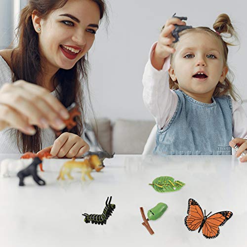 DOITOOL 4pcs Insect Figurines Life Cycle of Butterfly Plastic Caterpillars - JOY2ESpree