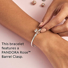 
                        
                          將圖片載入圖庫檢視器 Pandora Jewelry Moments Snake Chain Charm Pandora Rose Bracelet - JOY2ESpree
                        
                      