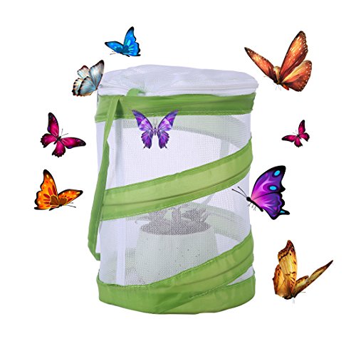 RuiyiF 2 Pack Insect and Butterfly Habitat Terrarium Pop-up Monarch Butterfly Cage Insect Growing Kits for Kids - JOY2ESpree