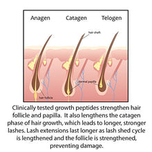 
                        
                          將圖片載入圖庫檢視器 Lyness Eyelash Growth Serum | Peptides Naturally Grow Lashes and Brows
                        
                      