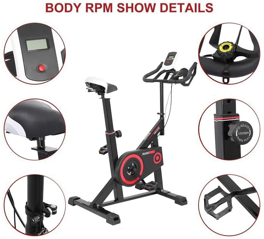 Indoor Exercise Bike with LED Display, Stationary Bicycle for Cardio Fitness, Home Upright Cycling Bike - JOY2ESpree