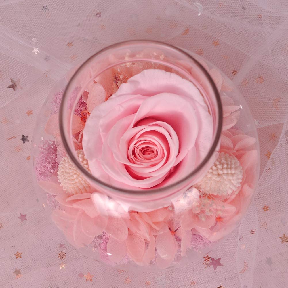 Forever Red Rose, Preserved Eternal Real Flower Present Gorgeous Led Mood Light