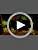 
                        
                          Muat gambar ke penampil Galeri, Yoshi's Crafted World - Nintendo Switch [Digital Code] - JOY2ESpree
                        
                      