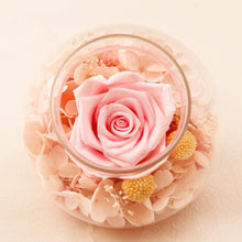 
                        
                          將圖片載入圖庫檢視器 Forever Red Rose, Preserved Eternal Real Flower Present Gorgeous Led Mood Light
                        
                      