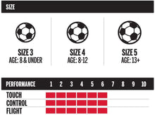 
                        
                          Load image into Gallery viewer, Wilson Traditional Soccer Ball - JOY2ESpree
                        
                      
