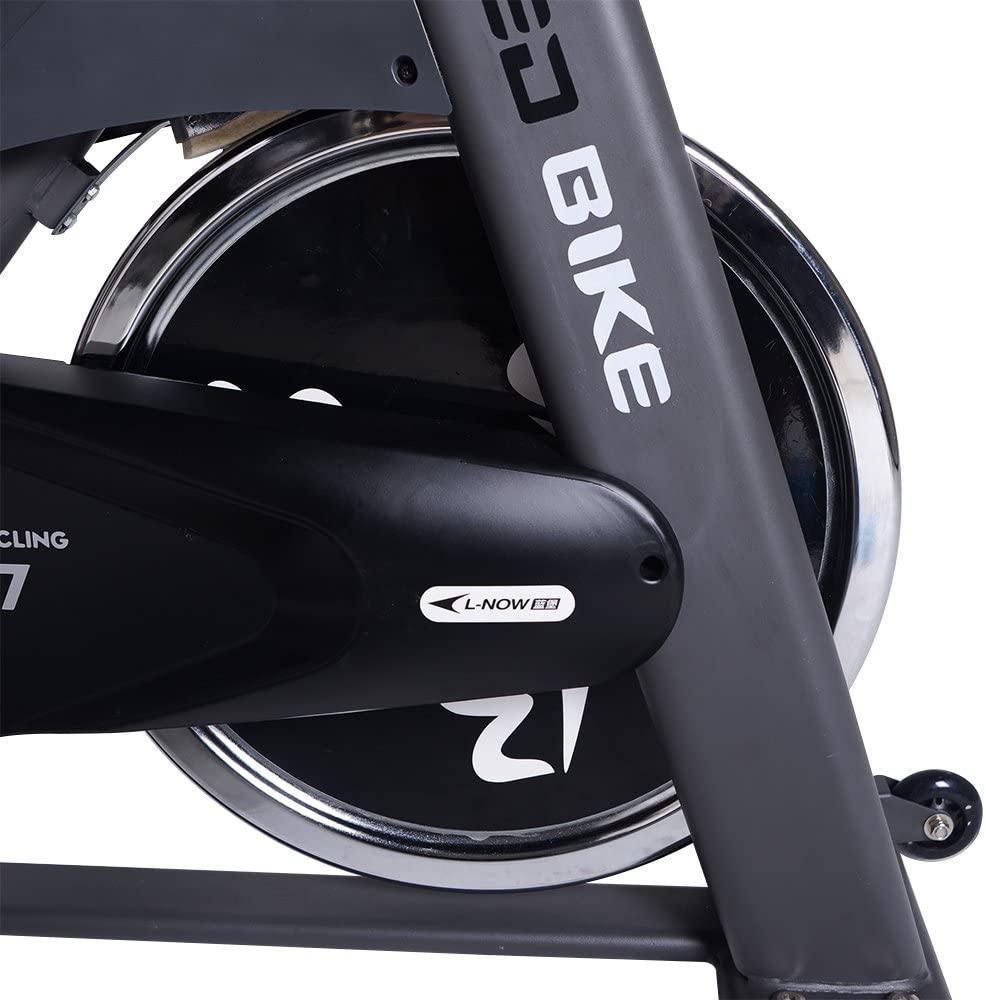 L NOW Indoor Cycling Bike Indoor Exercise Bike Stationary - JOY2ESpree