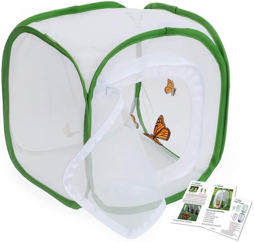 RESTCLOUD Insect and Butterfly Habitat Cage Terrarium Pop-up 24 Inches Tall with Zipper Protection - JOY2ESpree
