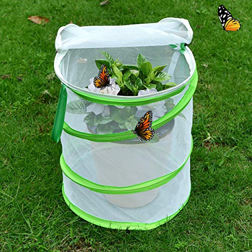 Alezywels Butterfly Habitat Insect Cage - Round Pop Up Mesh Net 12 x 14 Inches Tall with Side and Top Windows - JOY2ESpree