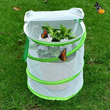 
                        
                          Muat gambar ke penampil Galeri, Alezywels Butterfly Habitat Insect Cage - Round Pop Up Mesh Net 12 x 14 Inches Tall with Side and Top Windows - JOY2ESpree
                        
                      