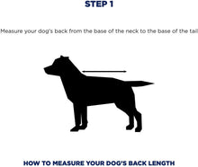 
                        
                          Load image into Gallery viewer, Weatherbeeta Parka 1200D Deluxe Dog Coat (20", Navy/Grey/White)
                        
                      