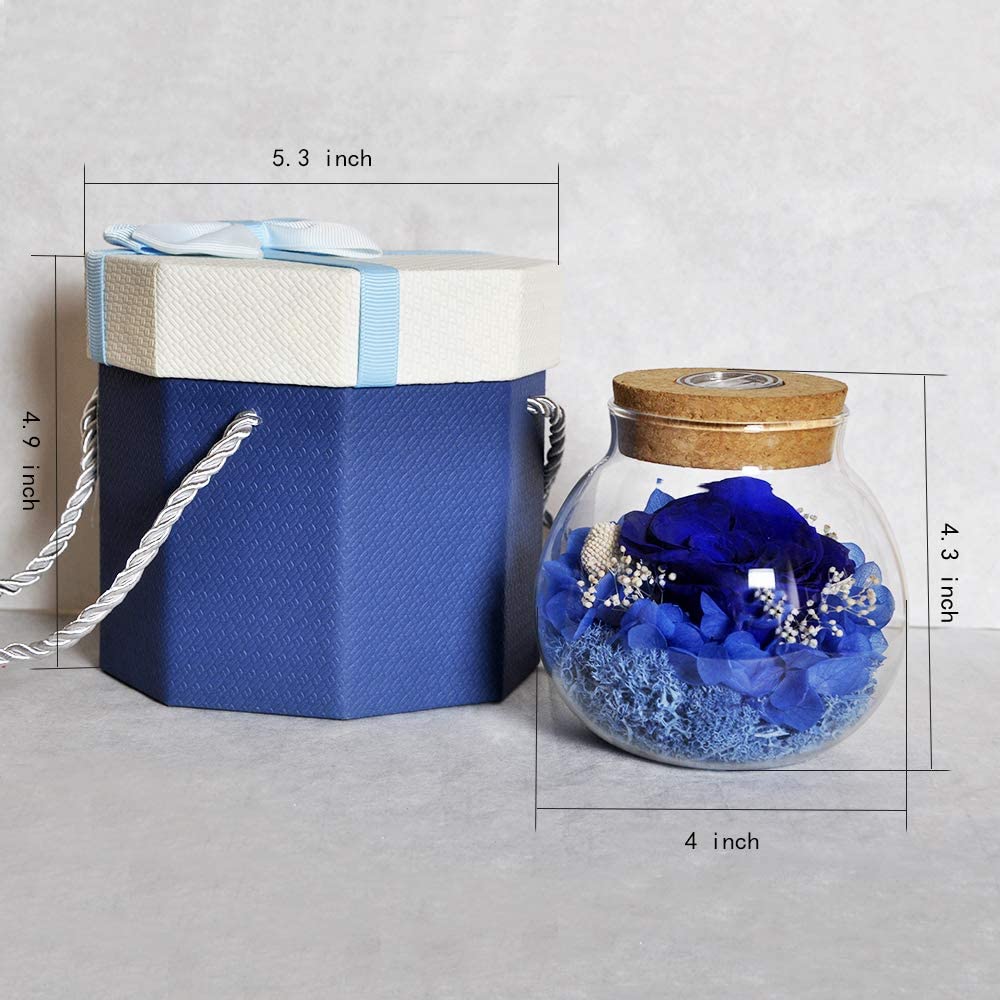 Forever Red Rose, Preserved Eternal Real Flower Present Gorgeous Led Mood Light