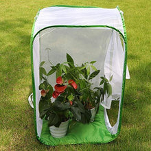 
                        
                          गैलरी व्यूवर में इमेज लोड करें, RESTCLOUD 36" Large Monarch Butterfly Habitat, Giant Collapsible Insect Mesh Cage Terrarium Pop-up 24 x 24 x 36 Inches - JOY2ESpree
                        
                      