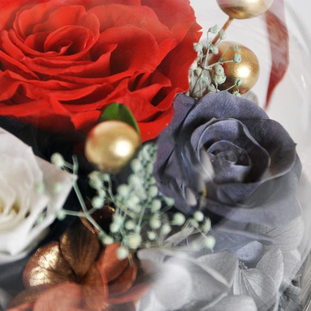 Eternal Rose- Preserved Flower Rose Handmade Fresh Flower Rose
