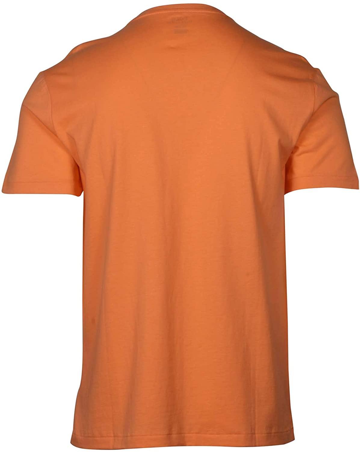 Polo RL Men's Classic Fit V-Neck T-Shirt