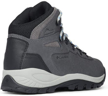 
                        
                          Load image into Gallery viewer, Columbia Women's Newton Ridge Plus Hiking Boot
                        
                      