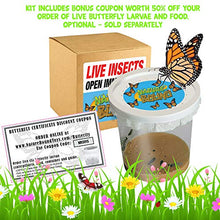 
                        
                          將圖片載入圖庫檢視器 Nature Bound Toys Butterfly Garden Habitat &amp; Terrarium, 24 Inches Tall with Large Zipper and Discount Larvae Coupon Included in Kit, Toy (NB526) - JOY2ESpree
                        
                      