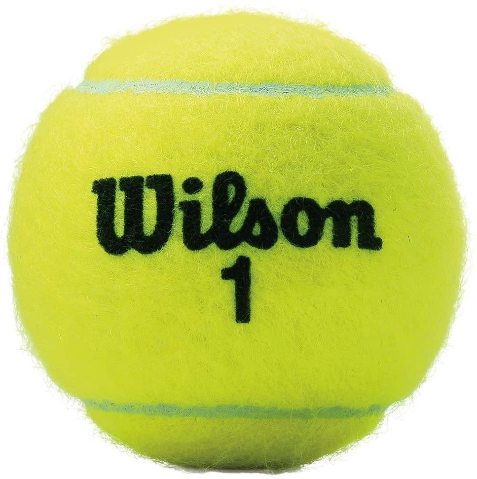 Wilson Championship Extra Duty Tennis Balls - JOY2ESpree