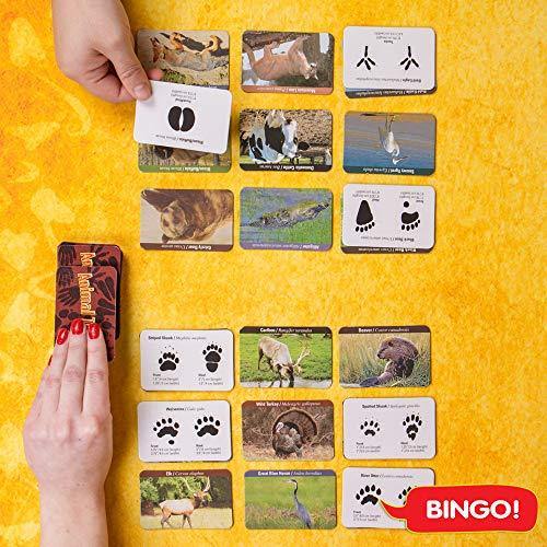 The Young Scientists Club Animal Tracks Game By Horizon Group USA - JOY2ESpree