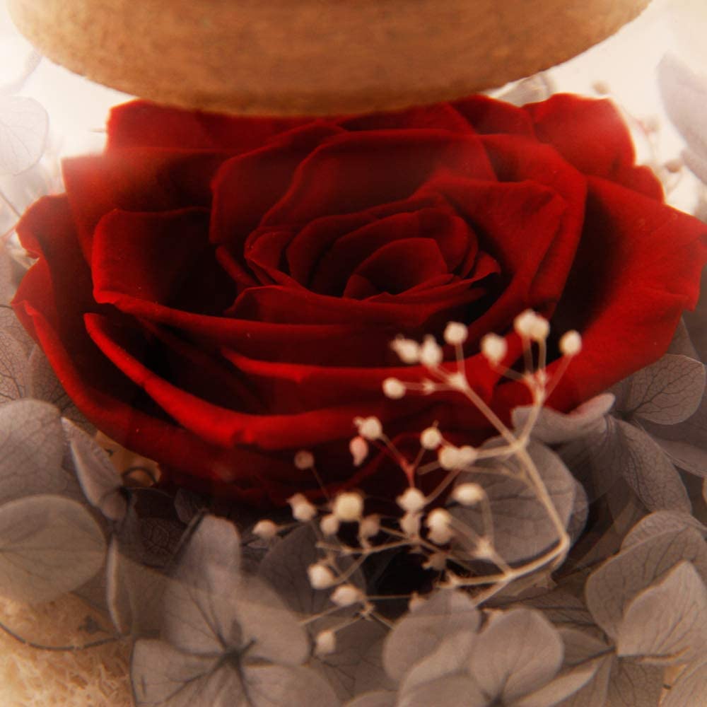 Forever Red Rose, Preserved Eternal Real Flower Present Gorgeous Led Mood Light