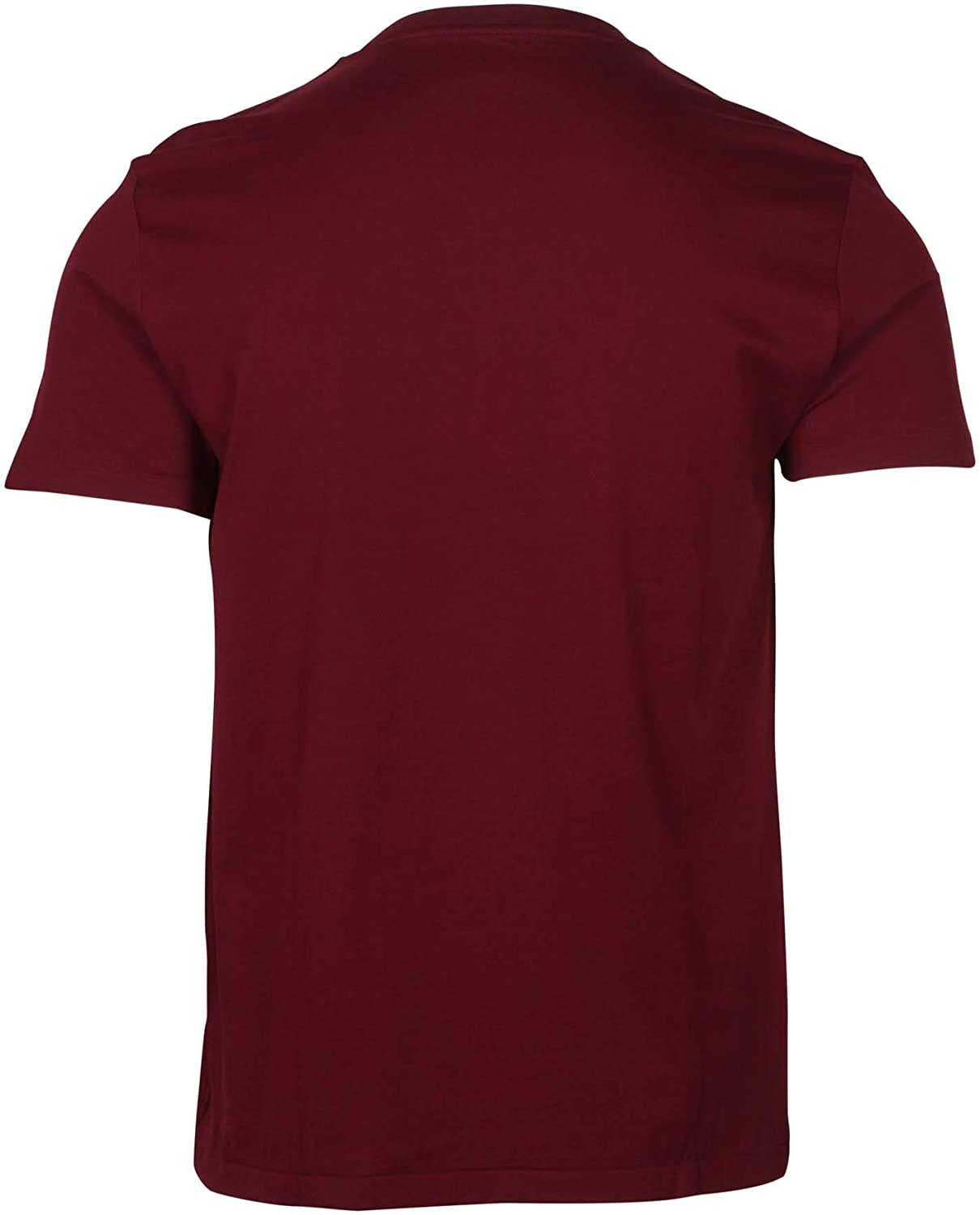Polo RL Men's Classic Fit V-Neck T-Shirt