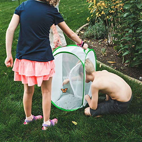 FUN LITTLE TOYS Square Butterfly Cage Set Butterfly Habitat Butterfly Garden Kit Insect Lore Butterfly Garden Without Butterfly - JOY2ESpree