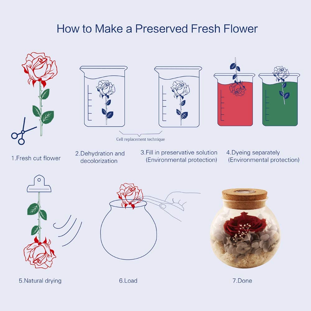 Forever Red Rose, Preserved Eternal Real Flower Present Gorgeous Led Mood Light