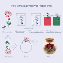 
                        
                          將圖片載入圖庫檢視器 Forever Red Rose, Preserved Eternal Real Flower Present Gorgeous Led Mood Light
                        
                      